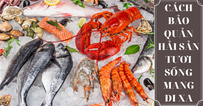 Có những loại hải sản tươi sống nào phổ biến và cần được bảo quản như thế nào?
