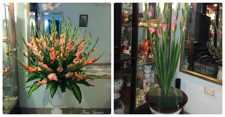 Cách cắm hoa Lay Ơn để bàn thờ, trang trí đẹp nhất chơi Tết