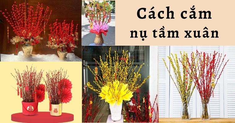 Cách cắm nụ tầm xuân đơn giản, không rụng, cắm hoa Tết 2026 được tươi lâu 