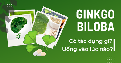 Ginkgo uống lúc nào sẽ giúp giảm tình trạng mệt mỏi và căng thẳng tinh thần?
