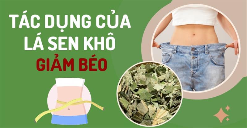 Tác dụng của la sen khô giảm béo - Bí kíp giảm cân đơn giản
