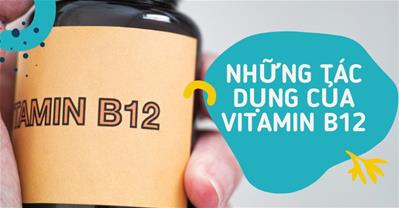 Tất tần tật các tác dụng vitamin B12 giúp bạn khỏe đẹp mỗi ngày