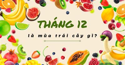 Các Loại Trái Cây Đặc Trưng Mùa Đông Tháng 12