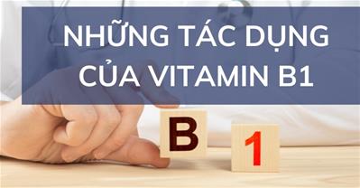 Tìm hiểu tác dụng vitamin b1 và cách bổ sung giúp cơ thể khỏe mạnh