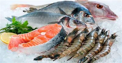 Top 10 lợi ích không ngờ của hải sản mà bạn cần biết