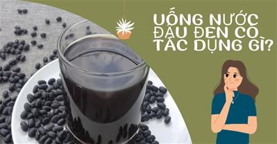 Uống nước đậu đen có tác dụng gì? Khám phá lợi ích của nước đậu đen