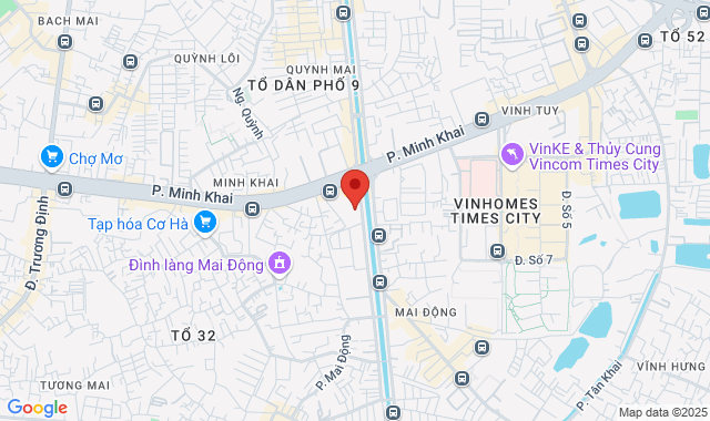  25 phố Lạc Trung, Vĩnh Tuy