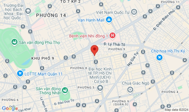 466 Nguyễn Tri Phương, P. 9, Q. 10