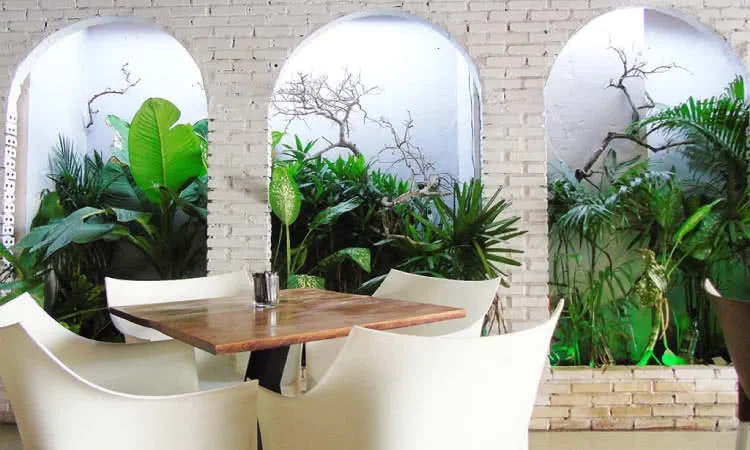 beefsteak-titi-bit-tet-huong-vi-au-tren-dat-viet-11