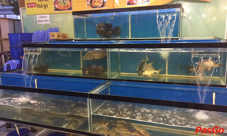 canh-dong-quan-pham-van-dong-12