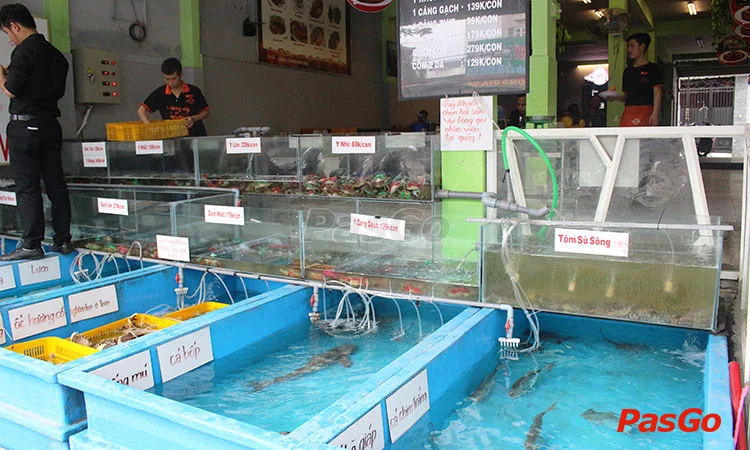 cua-1-cang-nguyen-oanh-slide-12