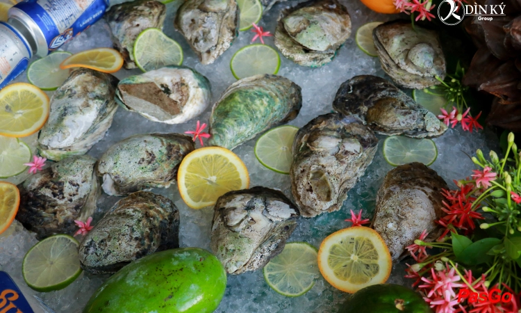 din-ky-cu-lao-xanh-12 (1)