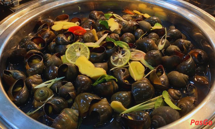 dmaris-hanoi-slide-10