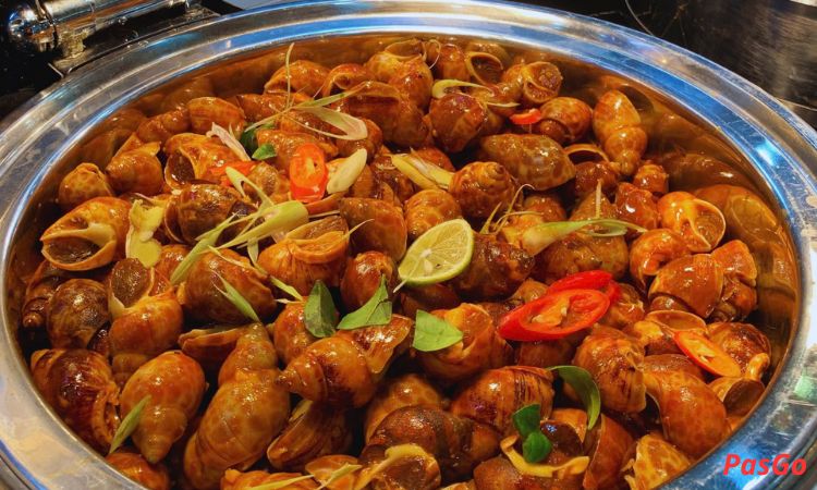 dmaris-hanoi-slide-13