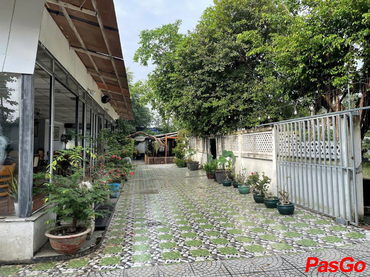 Giao Khẩu Quán 15