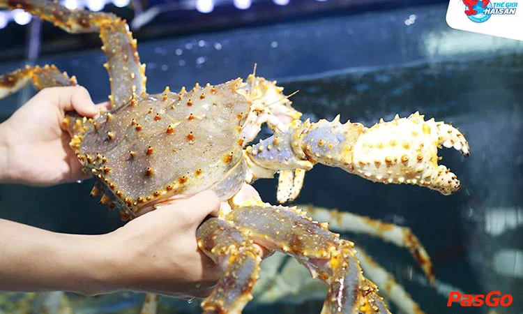 the-gioi-hai-san-duong-dinh-nghe-2