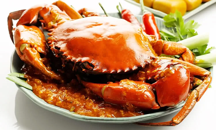 hai-san-bien-dong-hong-ha-mon-qua-tu-bien-ca-3