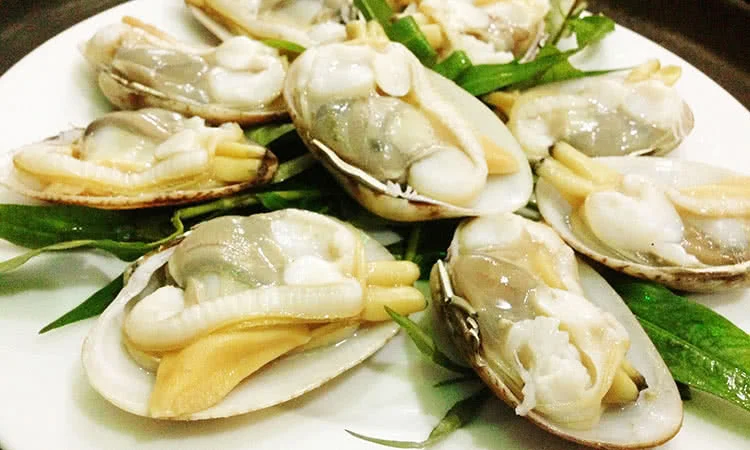 hai-san-bien-dong-hong-ha-mon-qua-tu-bien-ca-4