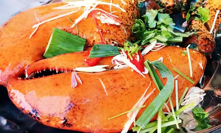 hai-san-bien-dong-hong-ha-mon-qua-tu-bien-ca-7