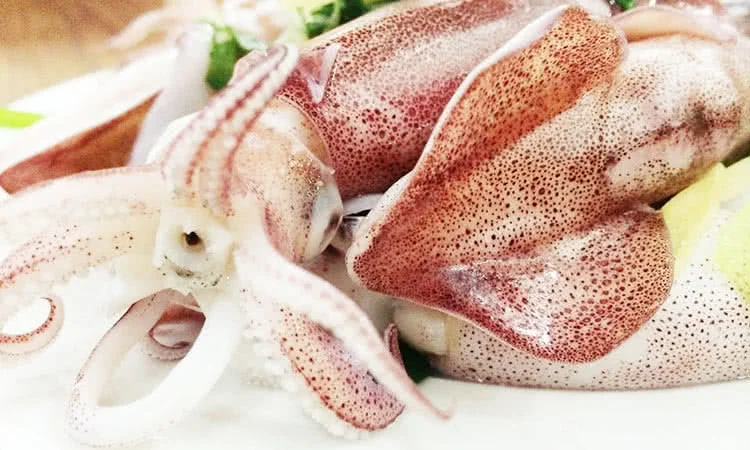 hai-san-bien-dong-hong-ha-mon-qua-tu-bien-ca-8