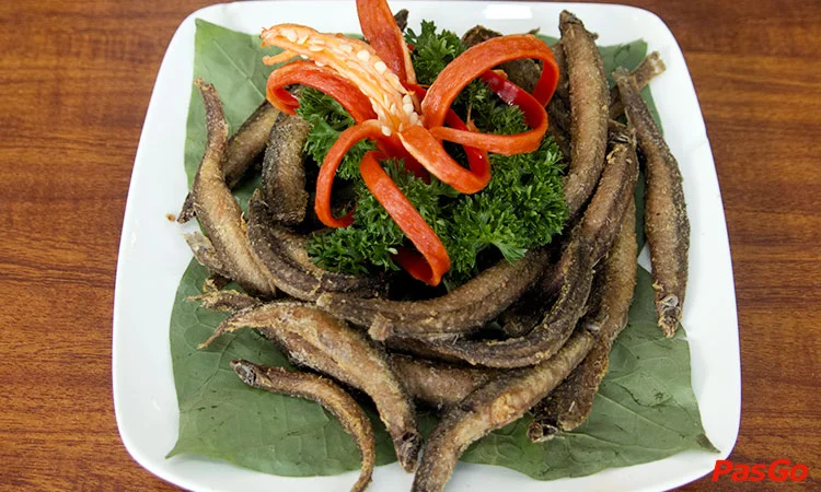 hoa-vien-quan-dang-tien-dong-8