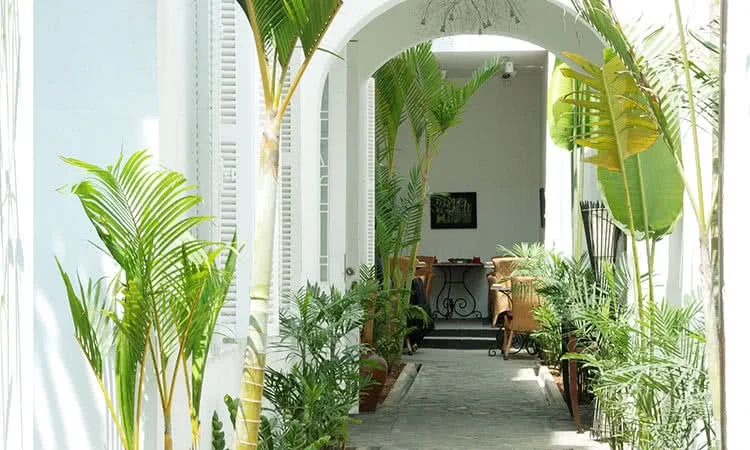 la-badiane-an-tuong-phap-giua-long-ha-noi-10