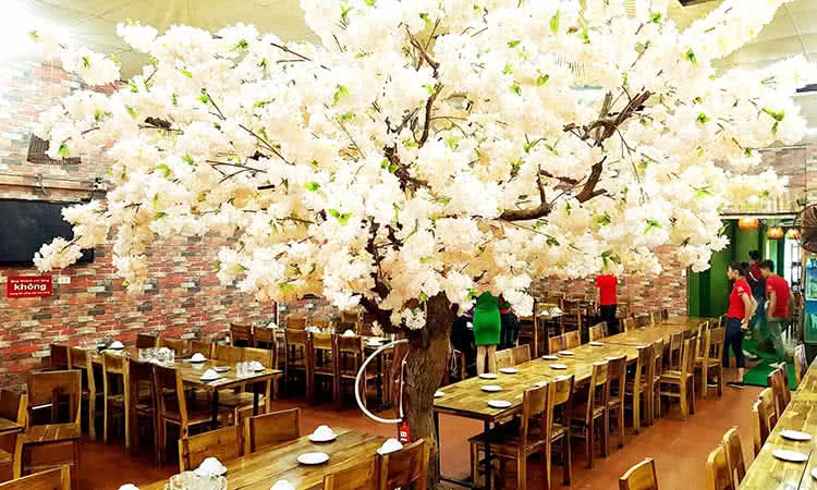 lau-duc-troc-15-yen-phu-12