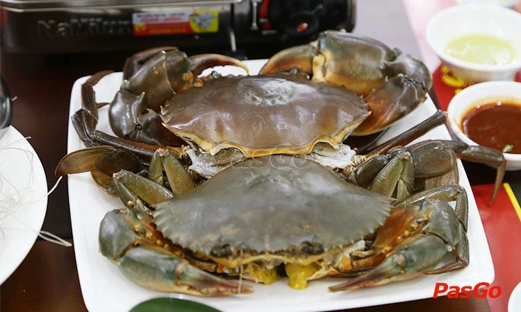 ngoc-cua-tran-huong-dao-anh-slide-4