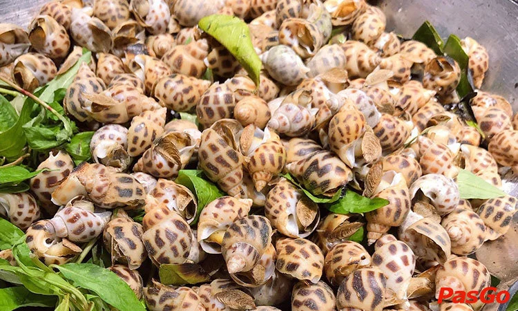 nha-hang-bay-seafood-buffet-ho-tay-5