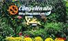 nha-hang-cong-vien-nho-an-duong-1