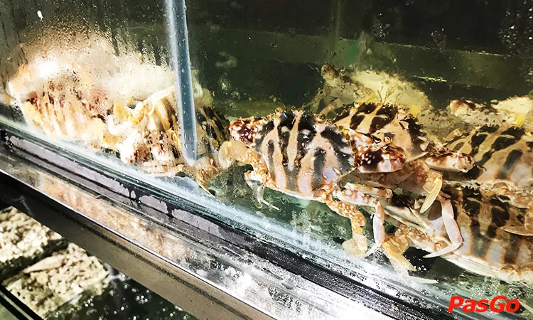 nha-hang-donzella-bbq-hotpot-doi-can-8