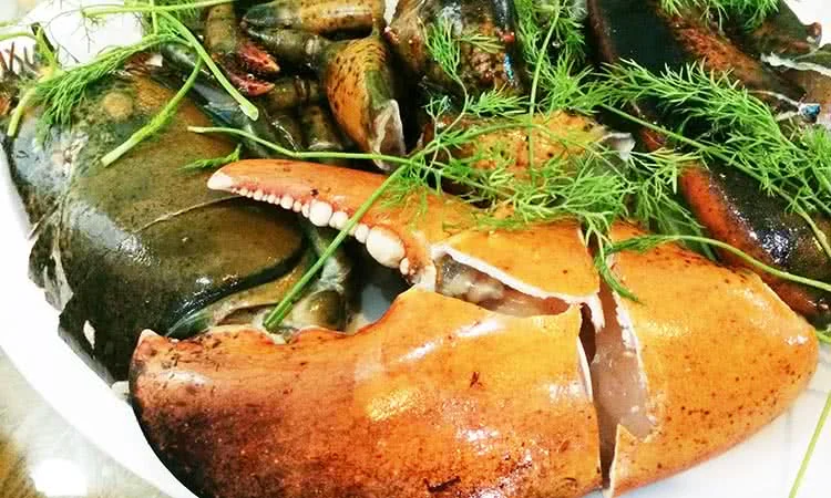 nha-hang-hai-san-bien-dong-times-city-thom-ngon-tron-vi-bien-3