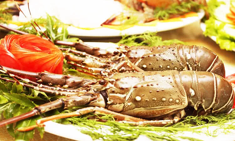 nha-hang-hai-san-bien-dong-times-city-thom-ngon-tron-vi-bien-8