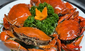 Nhà hàng Hải Sản Xóm Vắng Hồ Tây chuyên món ngon về hải sản tươi sống 2