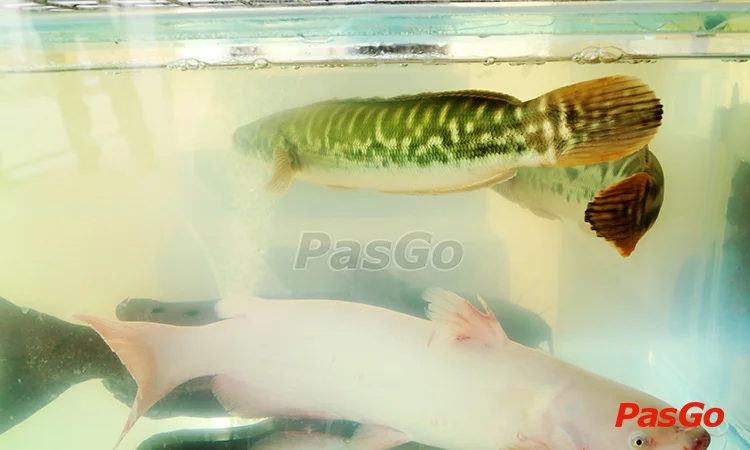 nha-hang-loc-xuan-quan-lieu-giai-slide-12