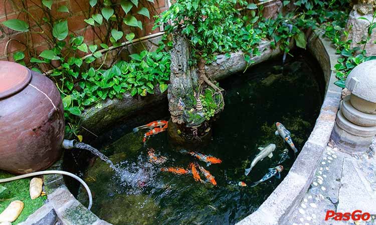 Vườn nhậu Trần Khát Chân 6