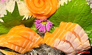 Nhà hàng Shiba Sushi Phan Xích Long Điểm đến ẩm thực Nhật Bản tuyệt vời 5