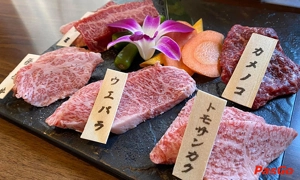 Nhà hàng Shiba Sushi Phan Xích Long Điểm đến ẩm thực Nhật Bản tuyệt vời 6