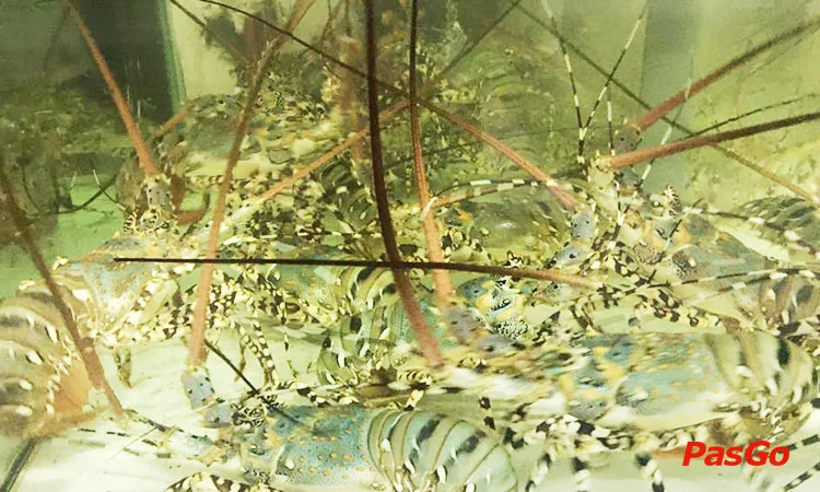 nha-hang-sieu-thi-hai-san-toan-quoc-ha-dong-slide-2