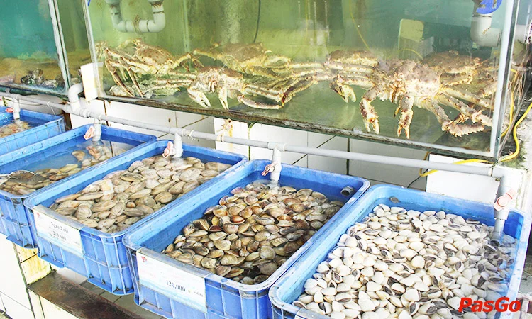 the-gioi-hai-san-duong-dinh-nghe-9