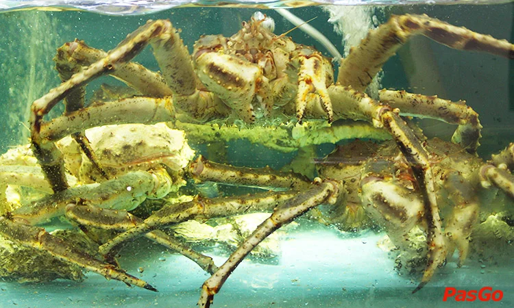 the-gioi-hai-san-thai-thinh-9