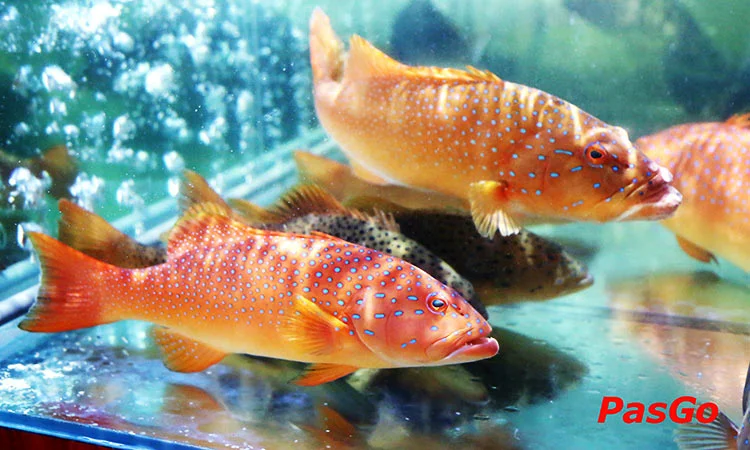 nha-hang-van-tue-thai-thinh-slide-7