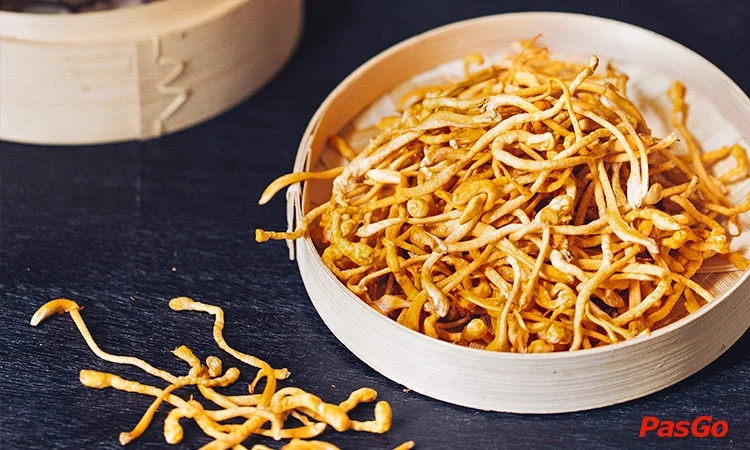 nha-hnag-lau-nam-ashima-phan-dinh-phung-6