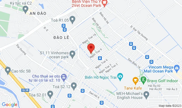 NT 06-238, KĐT Vinhome Ocean Park, xã Đa Tốn, huyện Gia Lâm