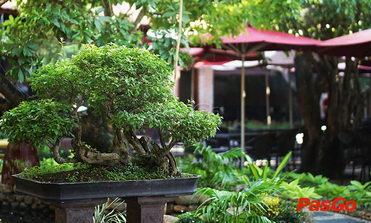 pho-co-cafe-restaurant-le-dai-hanh-anh-slide-11