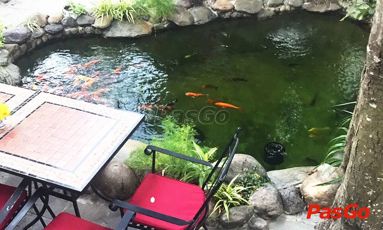 pho-co-phan-dang-luu-slide-12