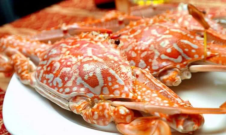 quan-banh-canh-ghe-nguyen-trai-slide-7