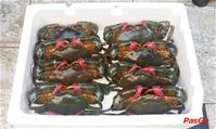 nha-hang-quan-cua-hoa-truong-quoc-dung-slide-4