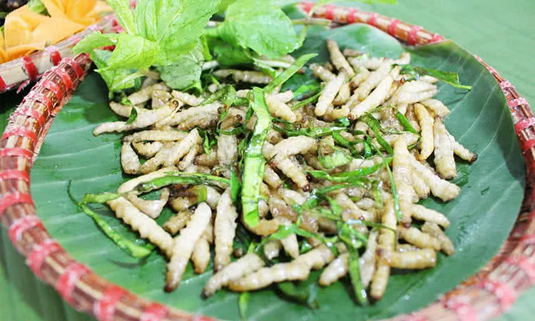 quan-kien-nghi-tam-quan-nhau-con-trung-doc-dao-3