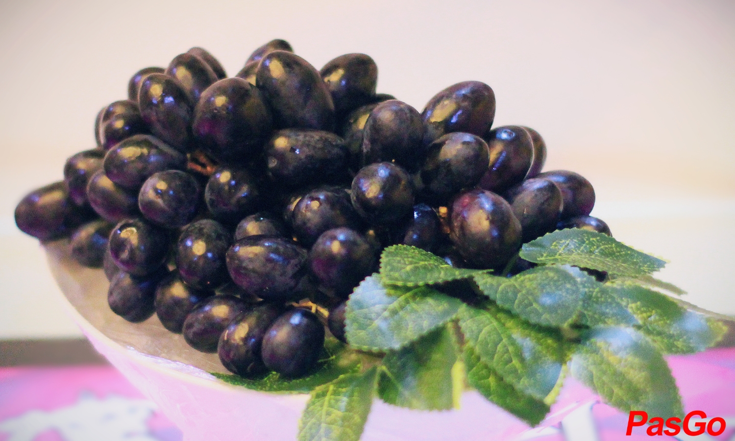 Queen Palace Karaoke 8